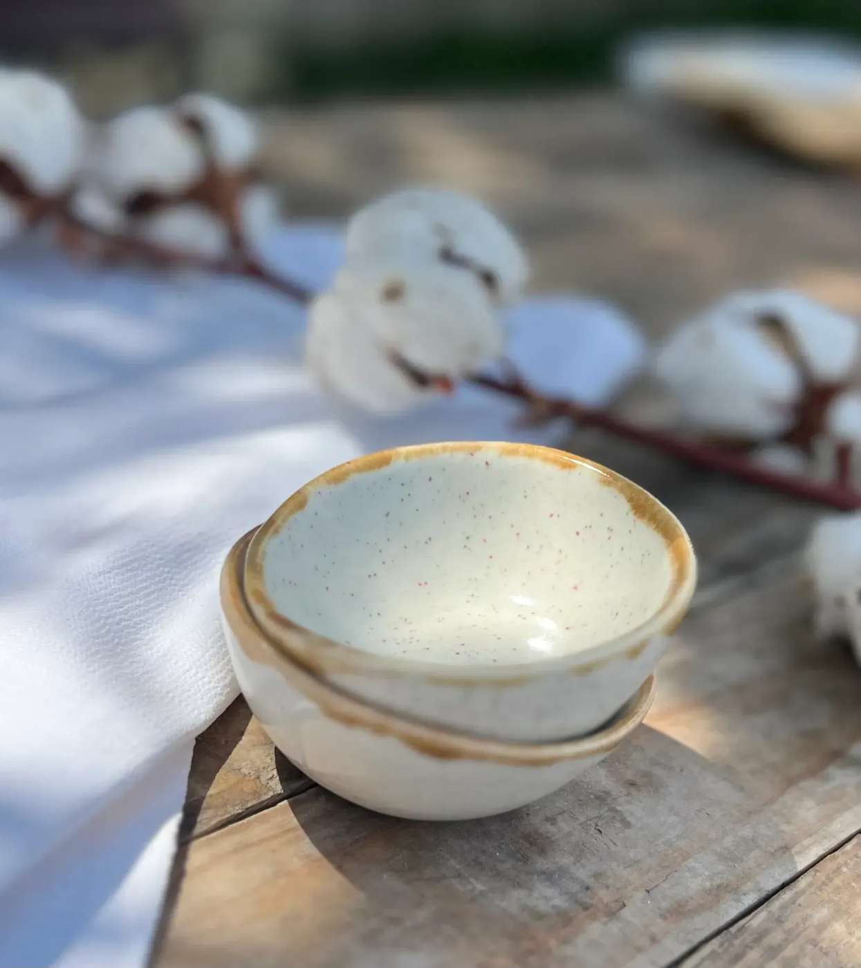 brazowy barberry21 (9)