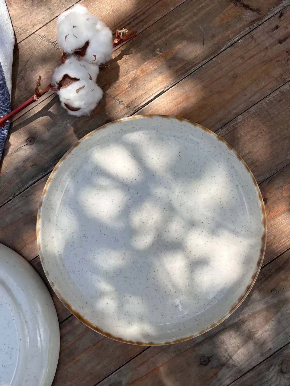 brazowy barberry23 (1)