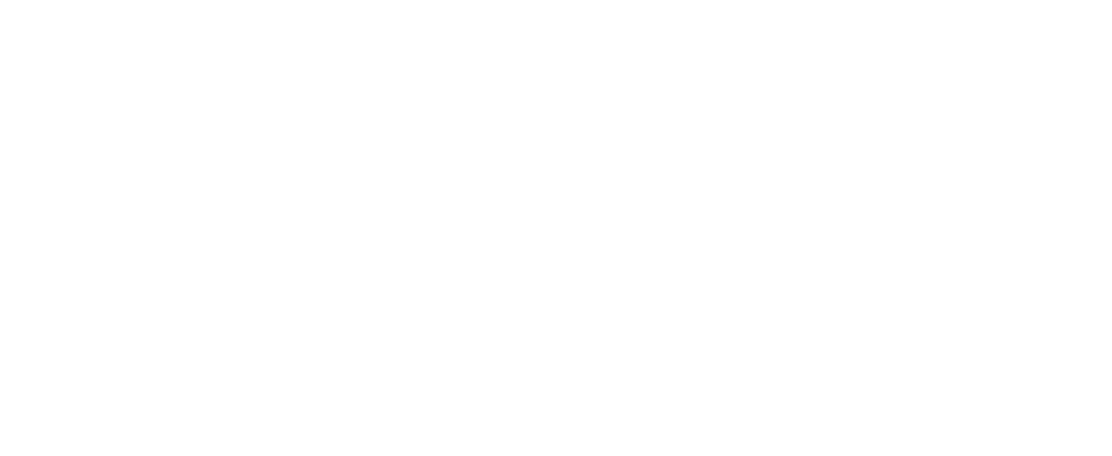 wantyco logotyp white